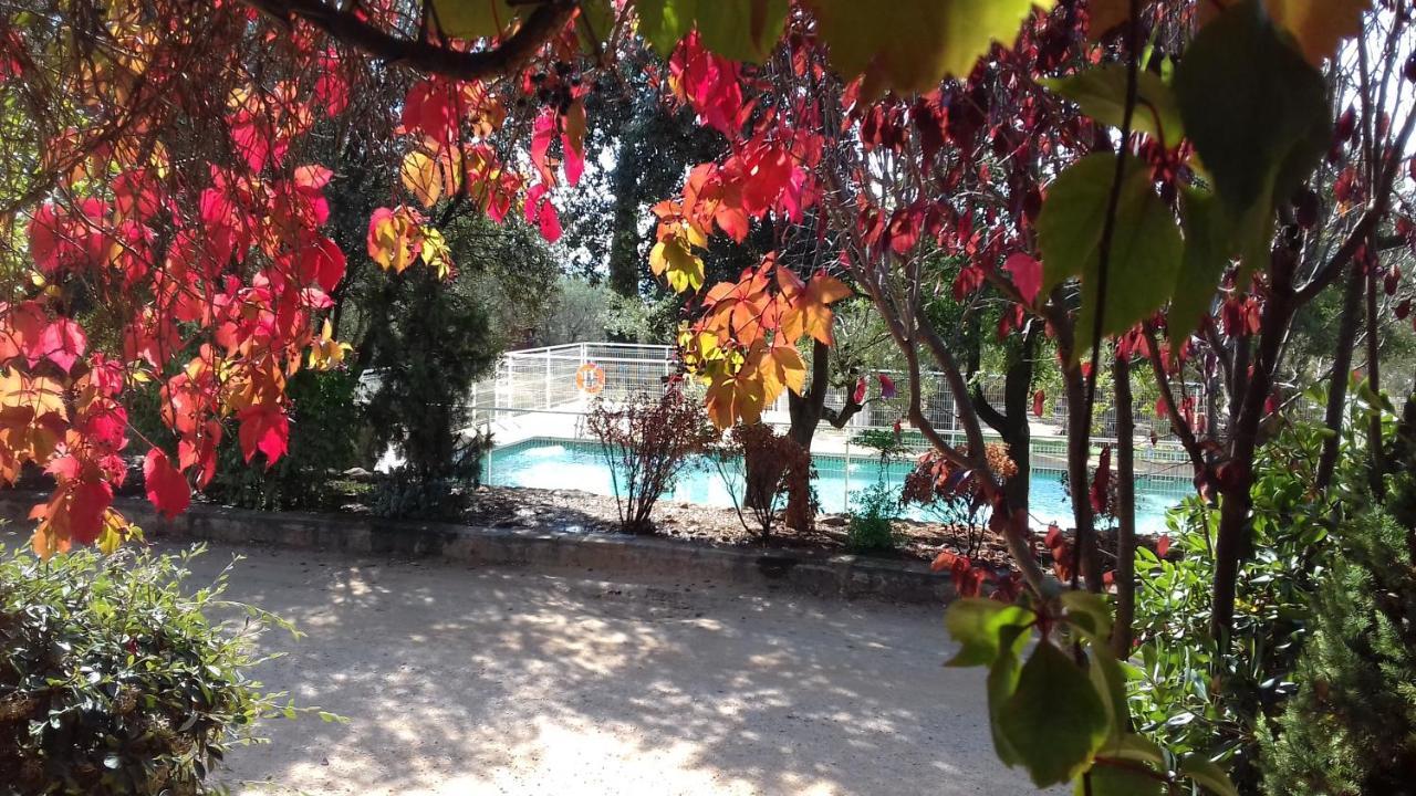 Camping אלקויזר מראה חיצוני תמונה