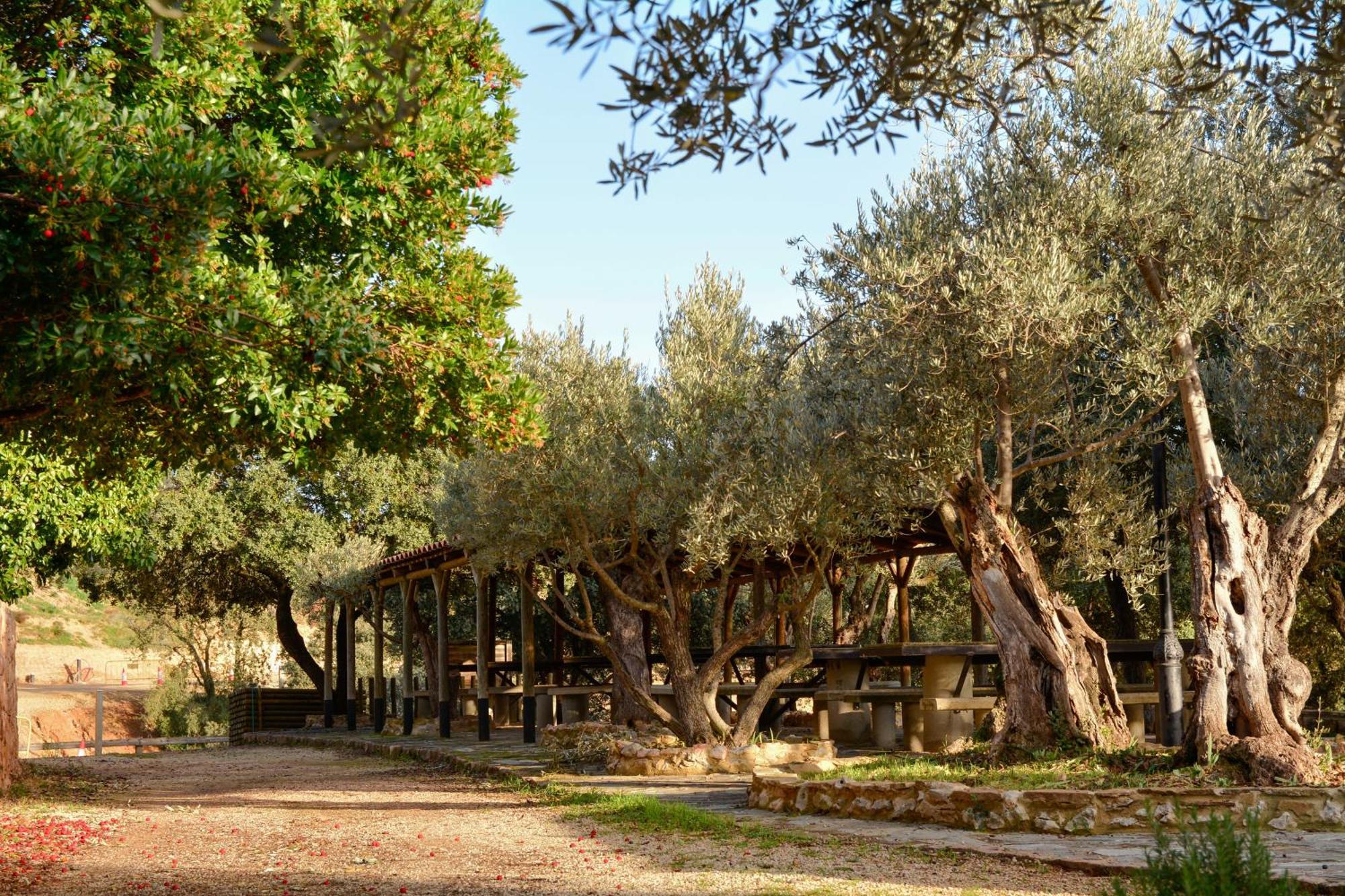 Camping אלקויזר מראה חיצוני תמונה