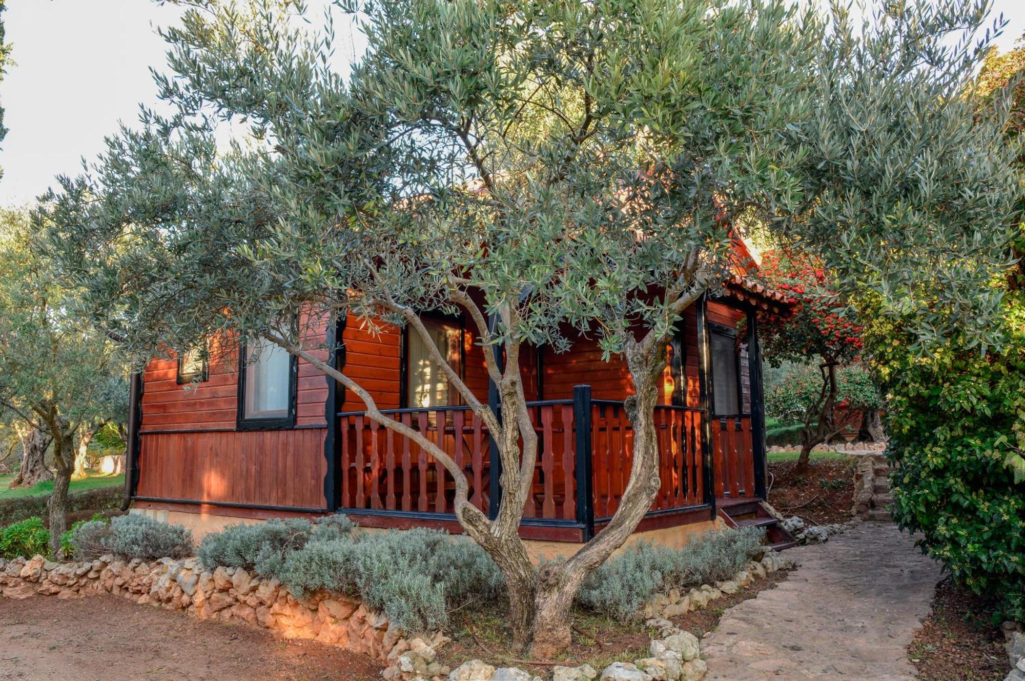 Camping אלקויזר מראה חיצוני תמונה