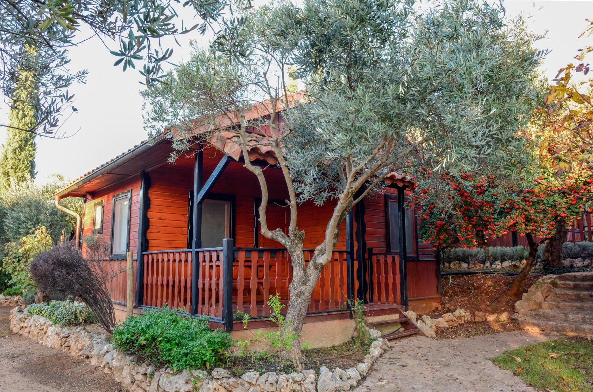 Camping אלקויזר מראה חיצוני תמונה