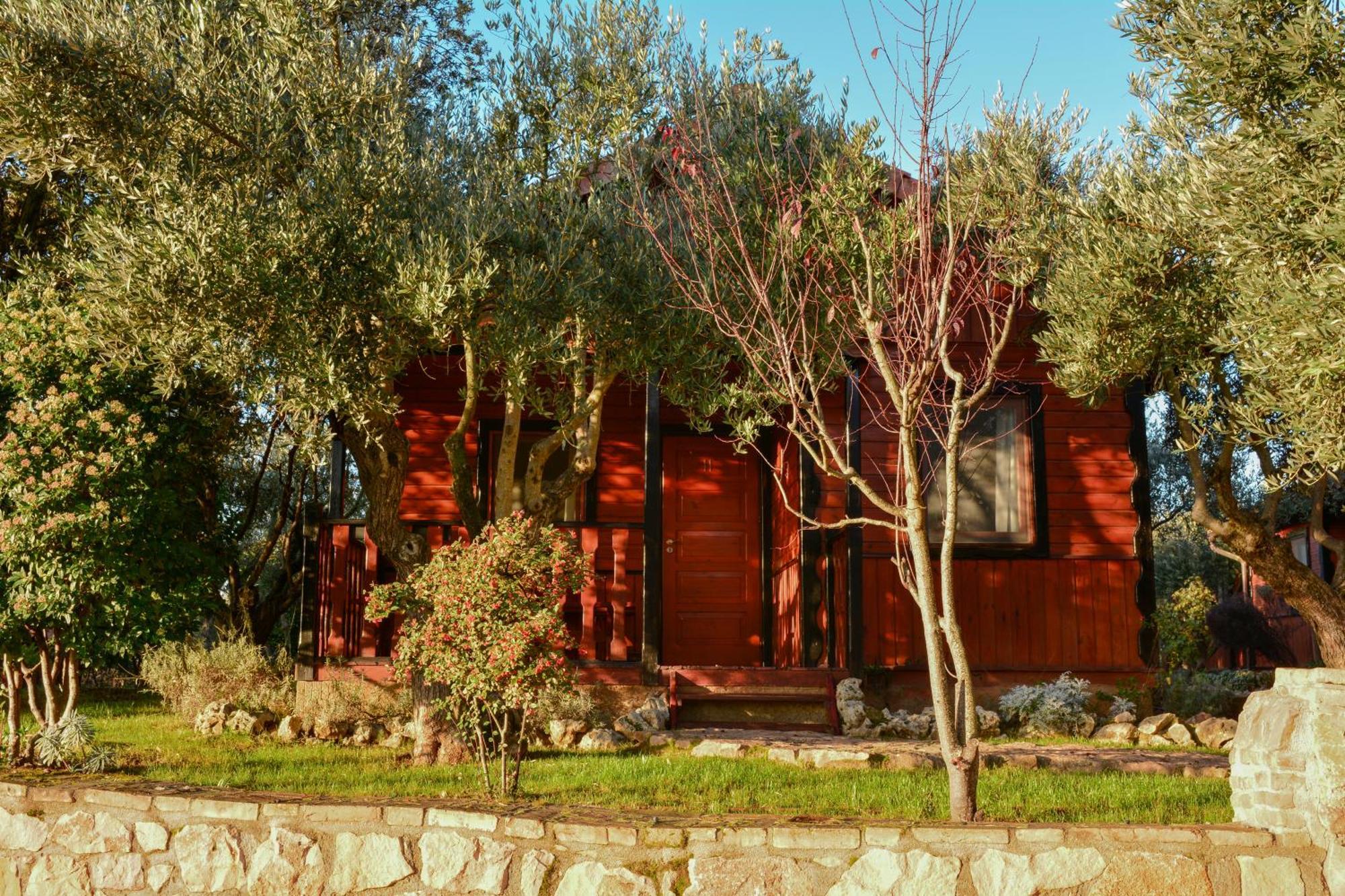 Camping אלקויזר מראה חיצוני תמונה